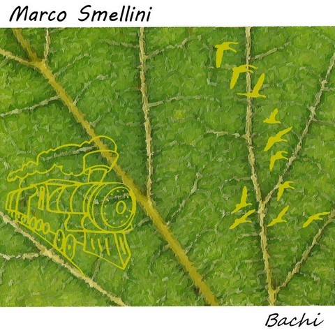 Marco Smellini-Bachi