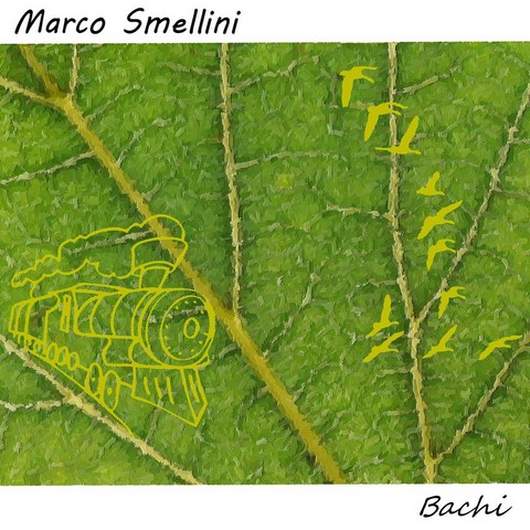 Marco Smellini-Bachi